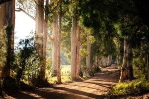 Karrak Reach Forest Retreat