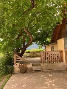 Biohof Gölly - Neumarkt in Steiermark