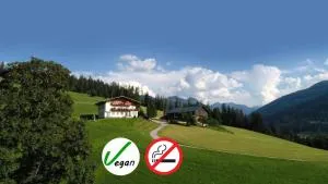 Sauschneidhof - Radstadt - 福尔施陶