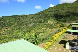 The Green Shack