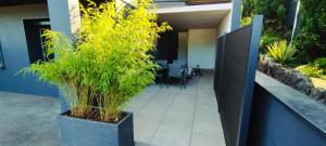 Appartements Le 24 bis : photos des chambres