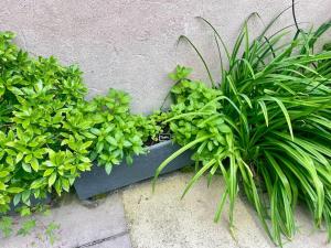 Maison "Loeil du Prince" - Verdun Centre - Terrasse - Wifi - 7 couchages - 10 personnes - Garage Vélo et moto - Géré par PrestaZenServices