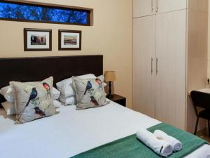 Drakensberg Vultures View