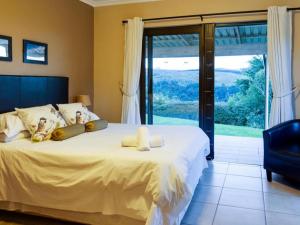 Drakensberg Vultures View