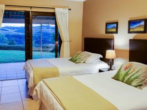 Drakensberg Vultures View