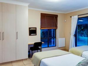 Drakensberg Vultures View