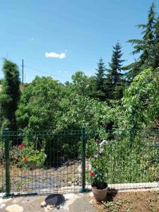 Πραβιτάδικο