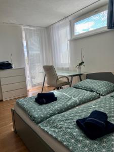 Sunny apartment near the center