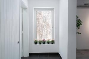 Istarih - 1 BR Apt - Ash Shati