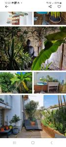 Maisons de vacances Villa Zen Plage & Centre Arcachon : photos des chambres