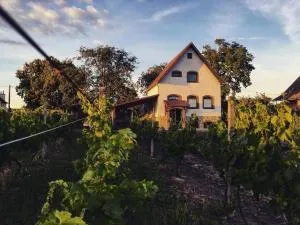 Ubytování ve vinném sklepě - Velké Bílovice - Podivín