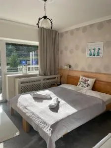 Útulné Štúdio v Srdci Tatier - Tatranská Štrba, bazén, vírivka, wellness - 什特尔布斯凯普莱索