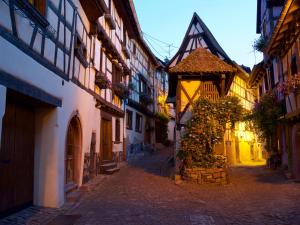 Appartements L-Atypique d-Eguisheim : photos des chambres