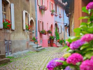 LAtypique dEguisheim