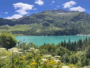 Studio panoramique Notre-Dame-de-Bellecombe - 20 m² - balcon sud