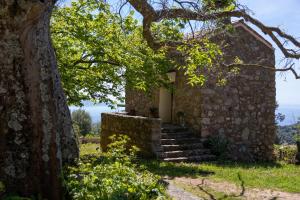 Maisons de vacances charmante bergerie a Cargese tres belle vue mer avec jardin : photos des chambres