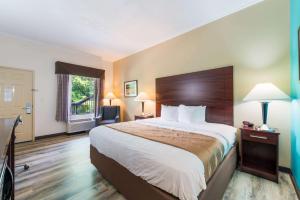 King Suite - Non-Smoking room in Quality Inn & Suites Rockingham