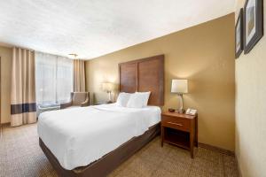 King Room - Non-Smoking room in Comfort Inn Lexington