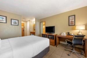 Comfort Inn Lexington