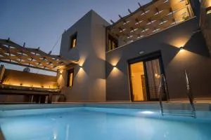 Serenity luxury villa - 阿莫皮