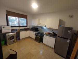 Swan Lake ras el hekma North coast first row lagoon