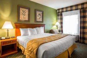 Clarion Inn & Suites Aiken South