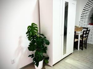 Apartman Vanila