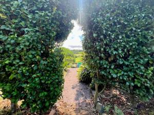 AZ Solar Cottage and Secret Garden