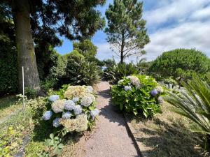 AZ Solar Cottage and Secret Garden