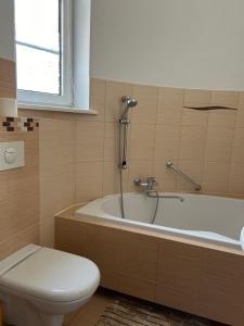 Mieszkanie w kamienicy w centrum