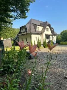 Flow House - Sub Cetate