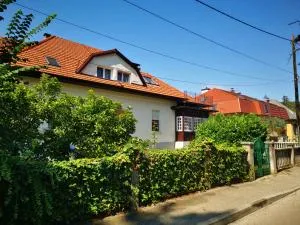 Vila Samobor - Domaslovec