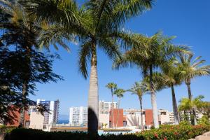 Playa Paraiso 2 - Apartament