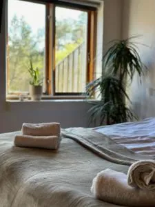 Vindvadet Ferielejligheder - Bratten Strand