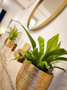 Appartements Appartement 2 etoiles cosy et chic a Vaires sur Marne Entre disney et Paris : photos des chambres