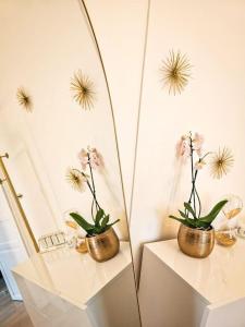 Appartements Appartement 2 etoiles cosy et chic a Vaires sur Marne Entre disney et Paris : photos des chambres
