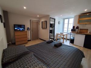Appartements LE NID 2 QUIMPER BY Nid'Ouest : photos des chambres