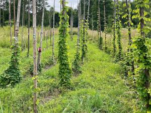 4 star holiday home in SVÄNGSTA