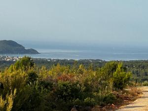 B&B / Chambres d'hotes L' Inattendu, entre terre et mer ! : photos des chambres