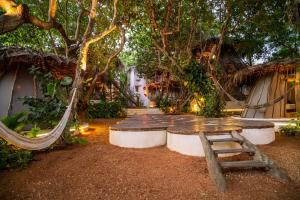 Treehouse Jericoacoara