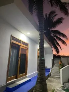 Penguin House - Tomás de Berlanga