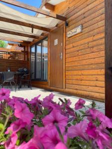 Domki nad morzem Park Jesionów