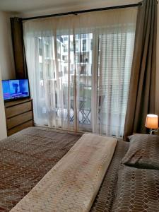 Luxury 1-bedroom free parking