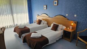 Hotels Brit Hotel Du Ban : Chambre Lits Jumeaux