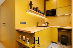 Appartements Magnifique Appartement Hypercentre Place Stanislas Nancy : photos des chambres