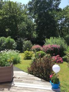 Appartements Coquet et spacieux Appt 3 chambres dans villa avec terrasse et jardin : photos des chambres