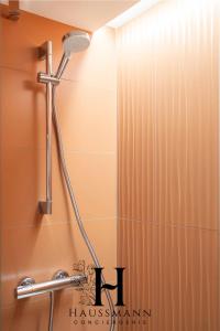 Appartements Magnifique Appartement Hypercentre Place Stanislas Nancy : photos des chambres