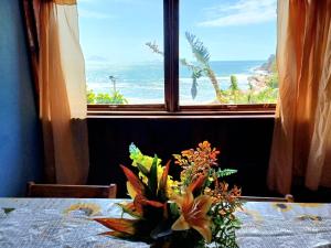 Monalisa Florianópolis