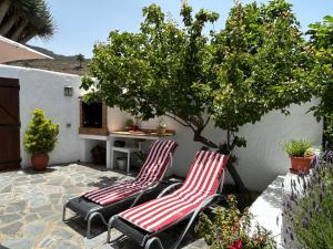 Casa Canaria Tradicional Rosalía