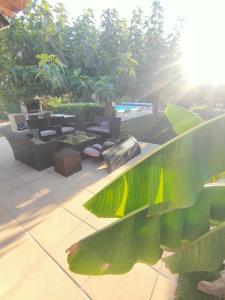 Villas Villa l-Olivaie : photos des chambres